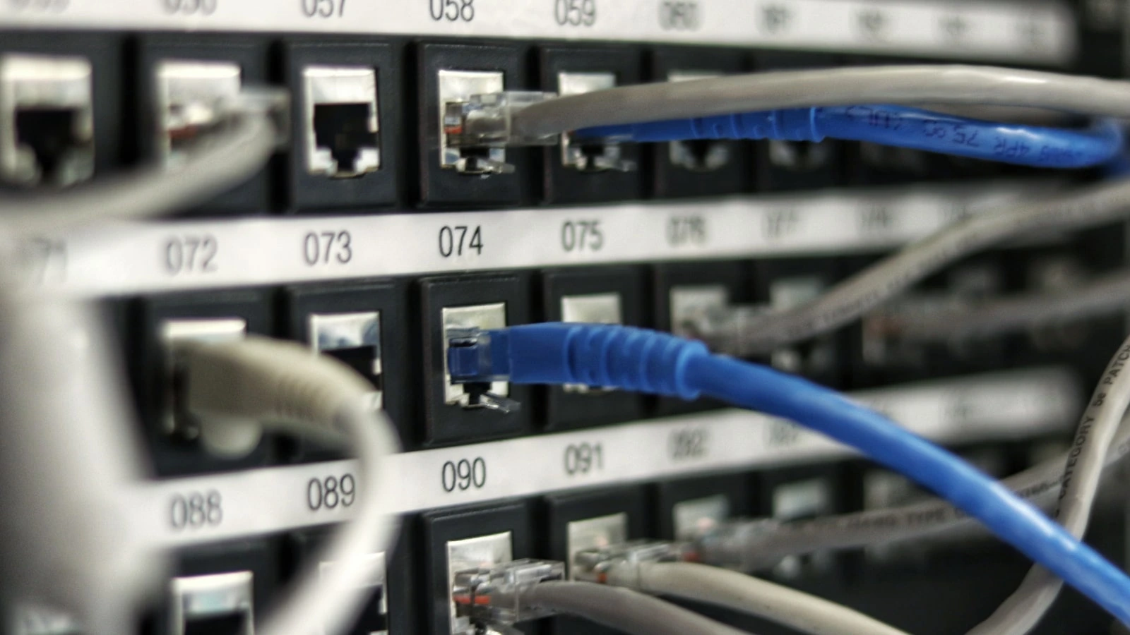 Technology migration and support services